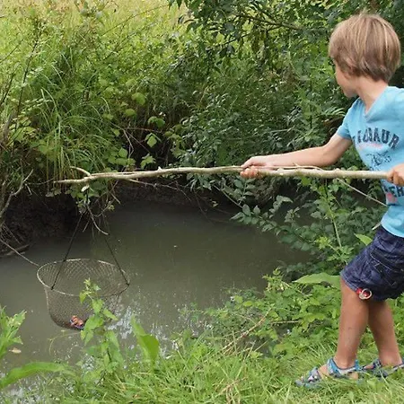 Mobil-home Confortable Avec Terrasse Pour 6 Personnes - Api-1-52-523 مكان تخييم